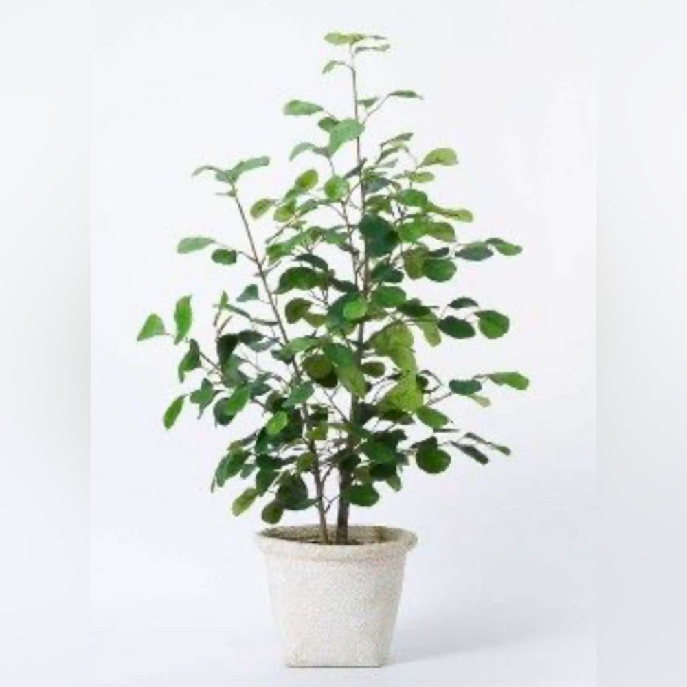 NWT Faux Ficus Tree - Threshold designed with Studio McGee